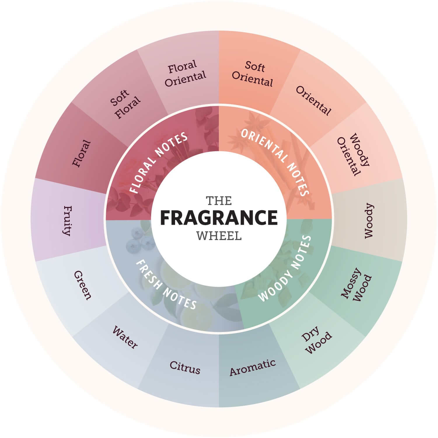 perfume notes, top notes and base notes